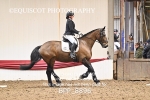 BPP_8896