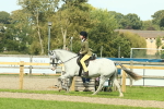 SBM_67549