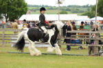SBM_06264