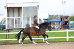 SBM_00268