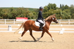 SBM_001261