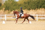 SBM_018336