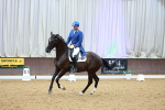 SBM_005953