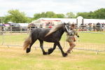 SBM_03564
