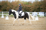 SBM_000374