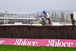 141125-Race 4-LEau du Sud-0416