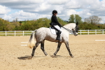 SBM_000553