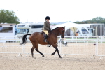 SBM_09165