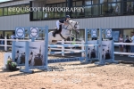 BPP_1384