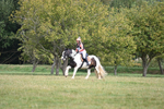 WJ6_1433
