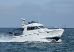090823 TENDER TOO IMG_2776