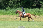 159-CASTLECONNELL.EYE.CATCHER-Maja.Hullah portfolio