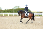 SBM_000374