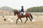 SBM_003868