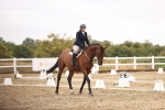 SBM_001053