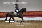 BPP_2582