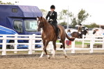 SBM_04598