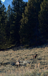 3HPhotography_Grand_Teton_OCT2025_00645