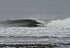 Thurso 6th November 2022 portfolio