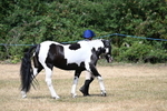 WJ7_1644