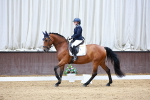 SBM_002435