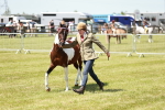SBM_05460