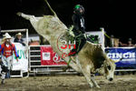 3HRodeo8-5-24_CFD_3HR-YUMA- 6110_