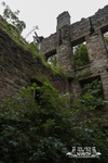 Griffe Mill 6