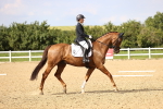 SBM_002851