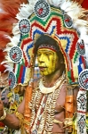 Tribesman - E. Highlands, Papua New Guinea