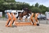 BPP_1731