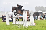 BPP_7236