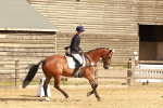 SBM_000245