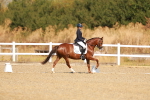 SBM_016805