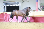 SBM_01164