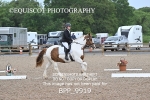 BPP_9919