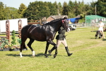 SBM_19274