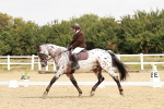 SBM_002740