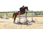 SBM_001871