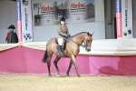 SBM_06956