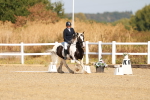 SBM_016742