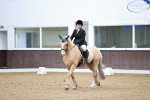 SBM_000325