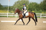 SBM_007923