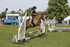 20260426-4546
