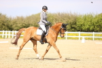 SBM_008420