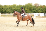 SBM_001462
