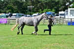 SBM_03340