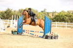 SBM_006575