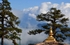 Towards Tibet