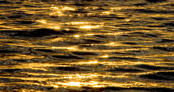 Sun,Bch,Watr 013